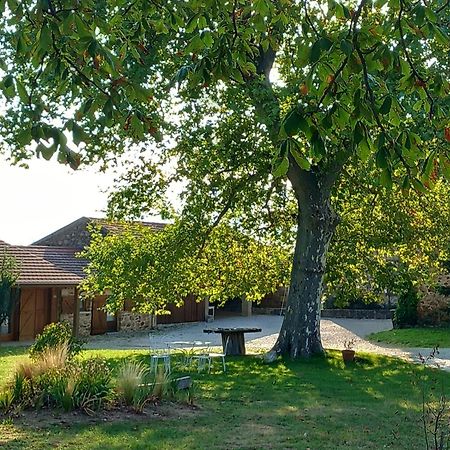 Le Clos De Ceintres Cheminas Экстерьер фото